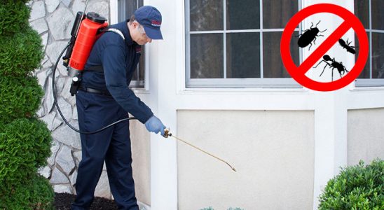 Urla Karınca İlaçlama böcek ilaçlama ve haşere kontrolü — ilaclama-tr.com